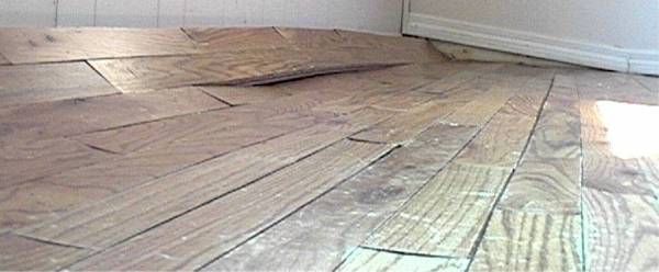 The oak floor planks continue to swell and buckle from water saturation. 