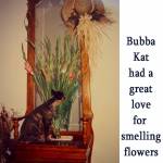 Bubba Kat Smells The Flowers