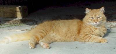 OK on August 18 2004